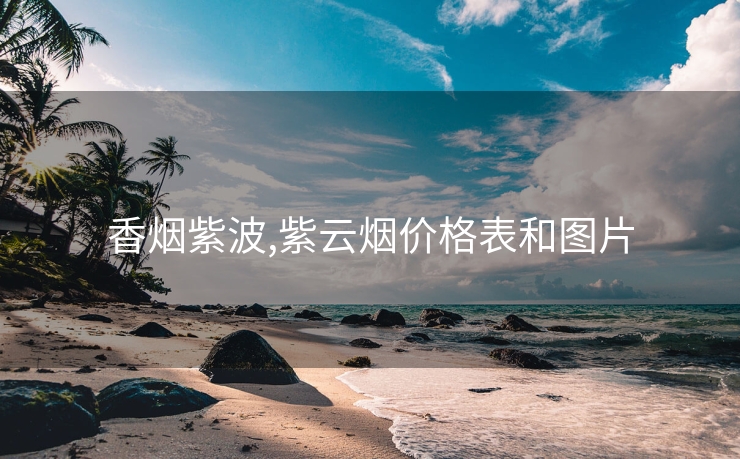 香烟紫波,紫云烟价格表和图片