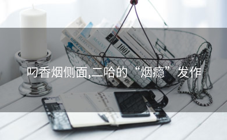 叼香烟侧面,二哈的“烟瘾”发作