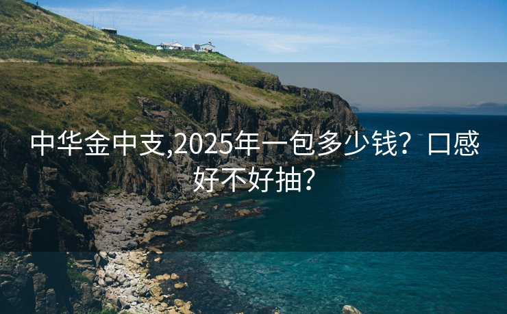 中华金中支,2025年一包多少钱？口感好不好抽？