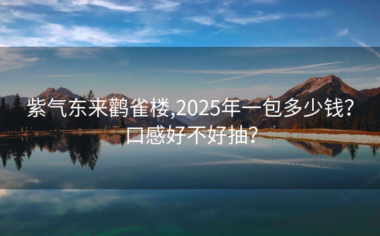 紫气东来鹳雀楼,2025年一包多少钱？口感好不好抽？