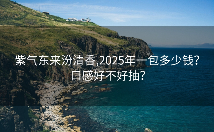 紫气东来汾清香,2025年一包多少钱？口感好不好抽？