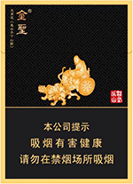 金圣（智圣出山金中支）.png 金圣（智圣出山双中支）  第1张