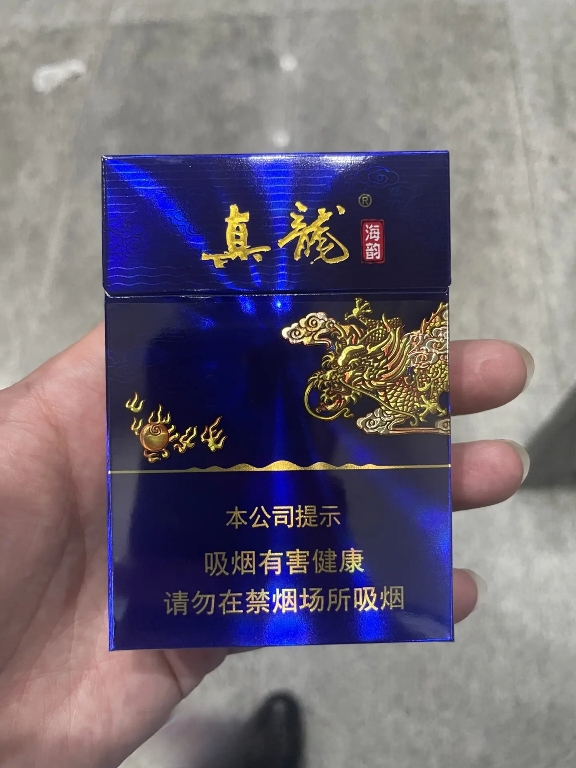 真龙（海韵中支）