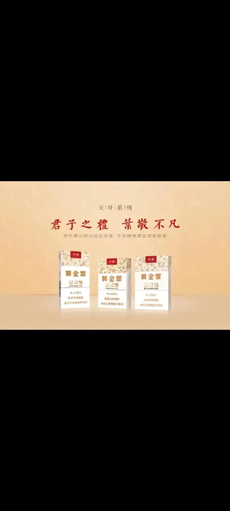 黄金叶 天叶,烟叶中的珍品,品味中的奢华 第4张 黄金叶 天叶,烟叶中的珍品,品味中的奢华 第4张