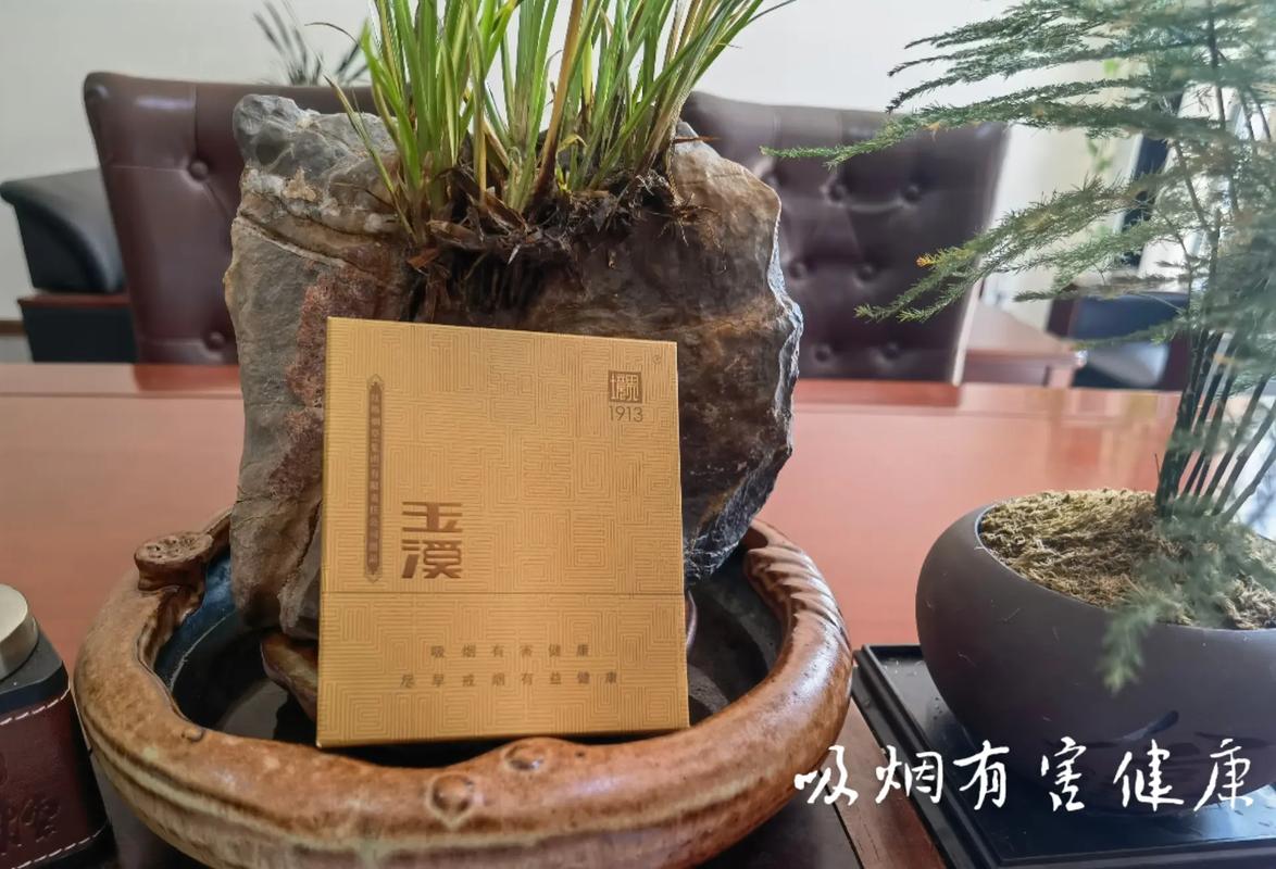 玉溪境界中支,高端烟叶的极致呈现 第1张 玉溪境界中支,高端烟叶的极致呈现 第1张