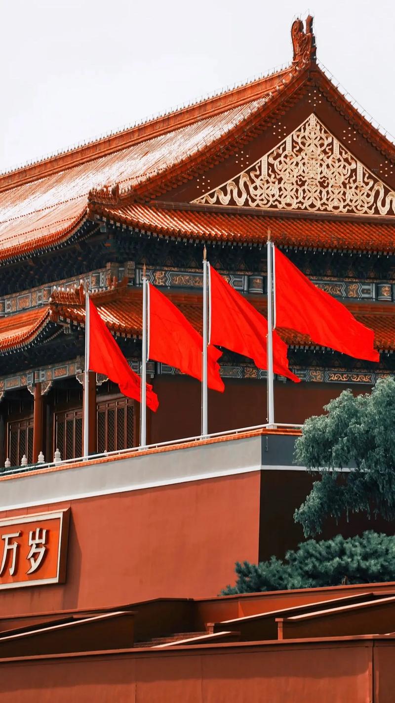 新中华,历史传承与时代创新的交响曲 第4张 新中华,历史传承与时代创新的交响曲 第4张