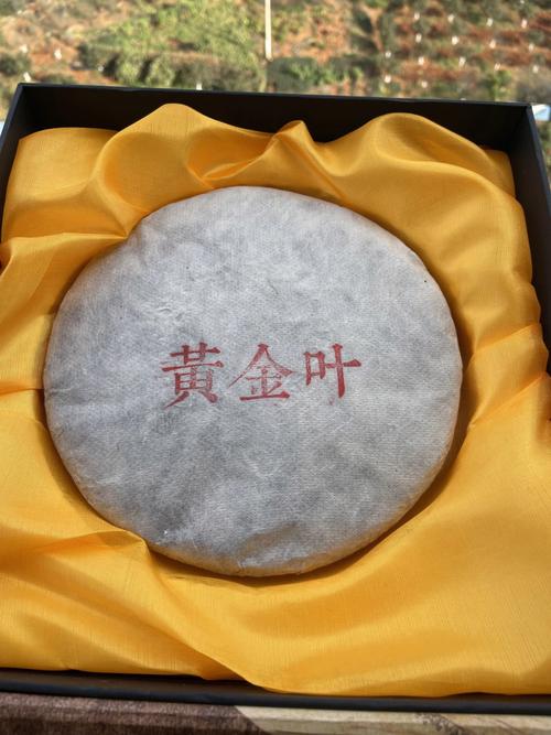 黄金叶,黄金叶的历史渊源 第4张 黄金叶,黄金叶的历史渊源 第4张