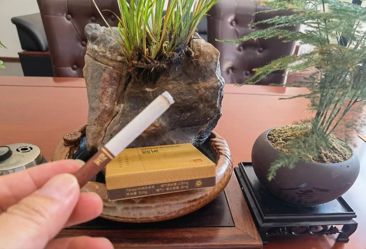 玉溪境界中支,品味中的境界,烟草中的艺术 第3张 玉溪境界中支,品味中的境界,烟草中的艺术 第3张