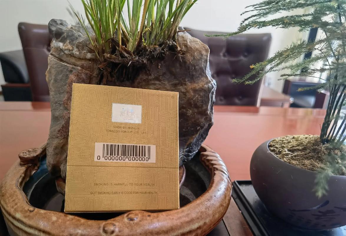 玉溪境界中支,品味中的境界,烟草中的艺术 第2张 玉溪境界中支,品味中的境界,烟草中的艺术 第2张
