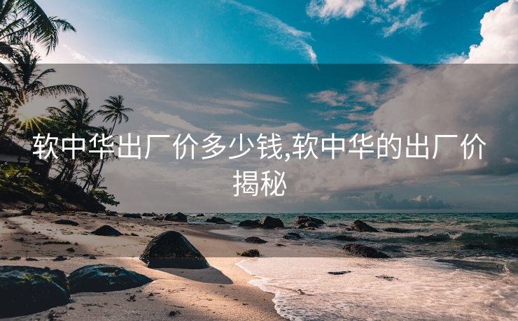 软中华出厂价多少钱,软中华的出厂价揭秘