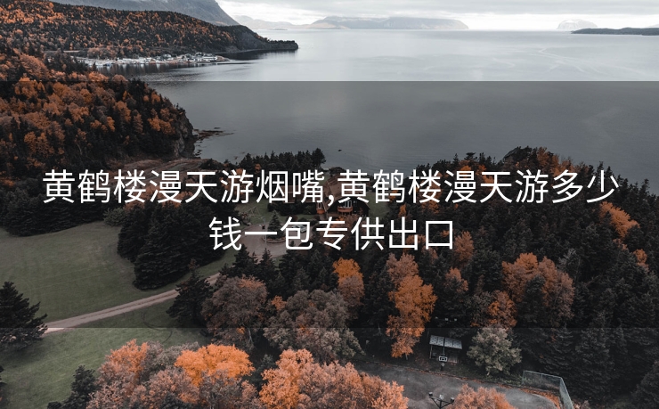 黄鹤楼漫天游烟嘴,黄鹤楼漫天游多少钱一包专供出口