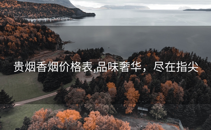 贵烟香烟价格表,品味奢华，尽在指尖